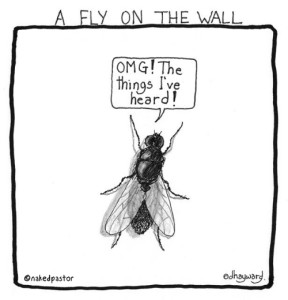 fly-on-the-wall